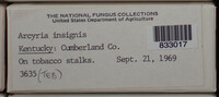 Image Associated With the Occurence